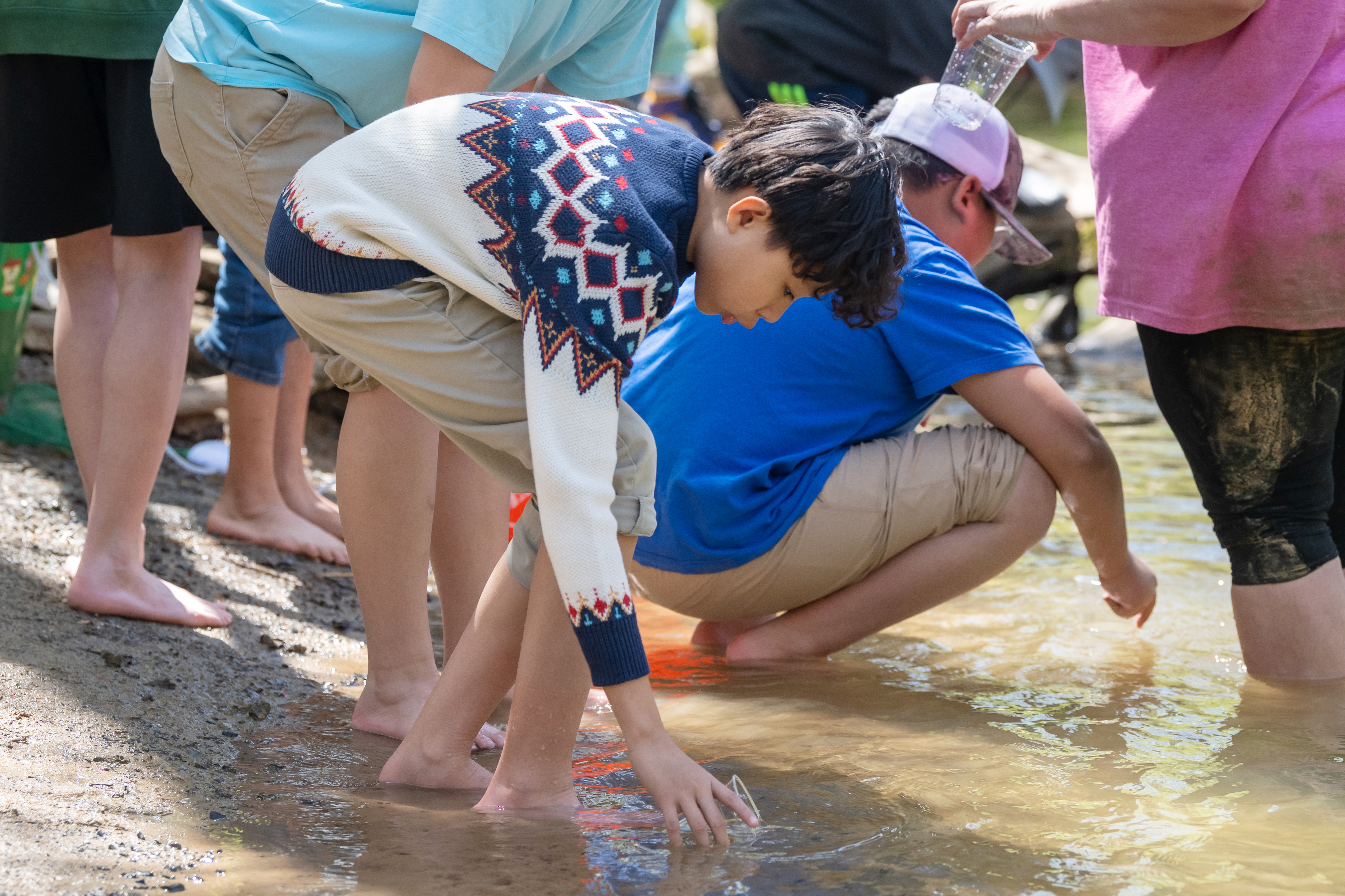 A Centreville Elementary School student bends over as he gently tilts his cup into the water, releasing a young trout to swim freely in the stream.